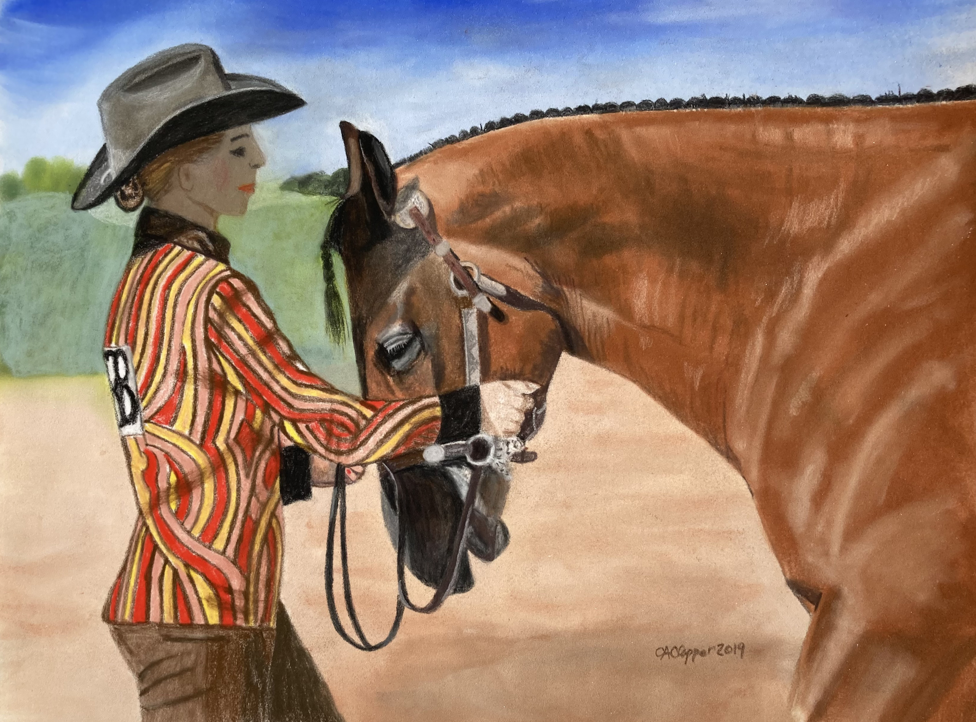 Show Horse