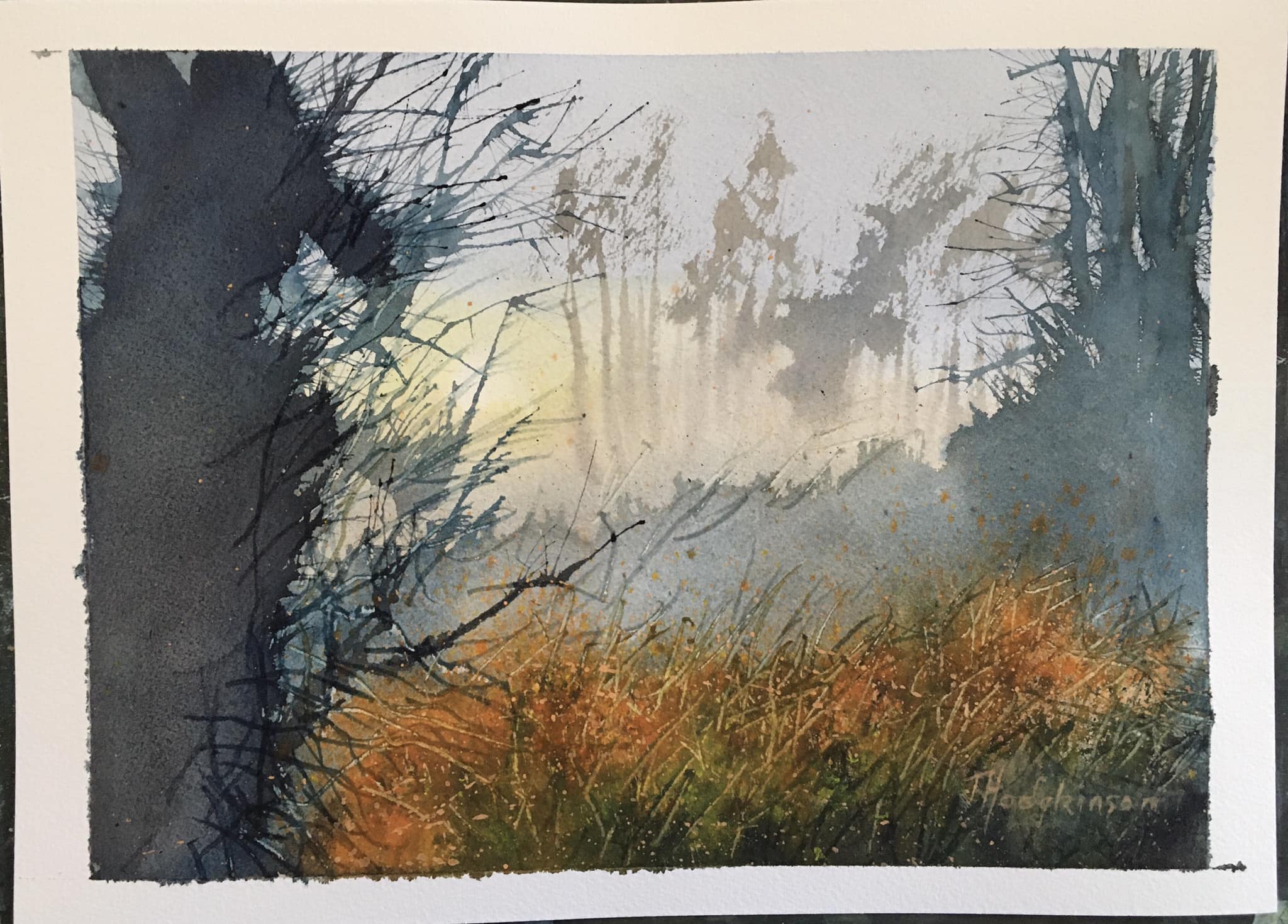 Forest Orange Bushes