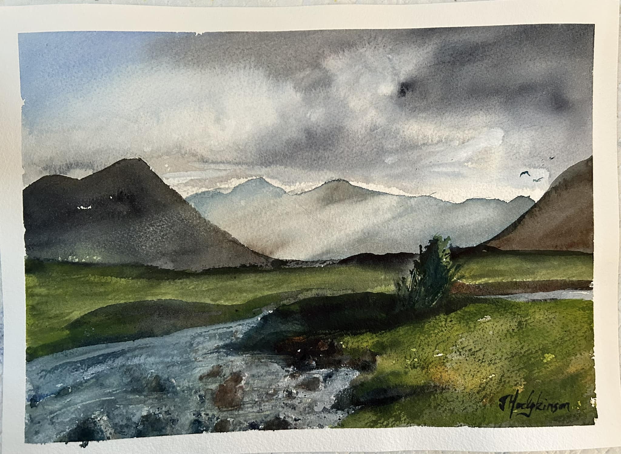 Stream / River